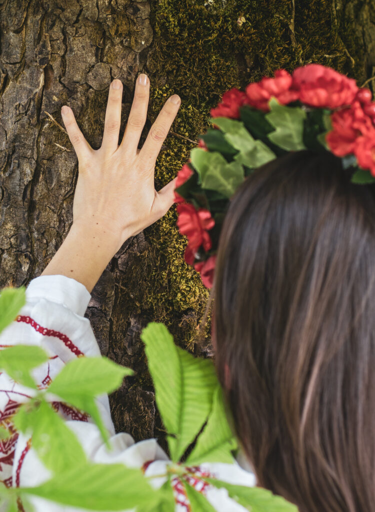 Programme Origine masha main sur un arbre de dos