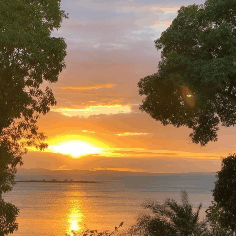 Retraite Détox et Bien-être couché de soleil