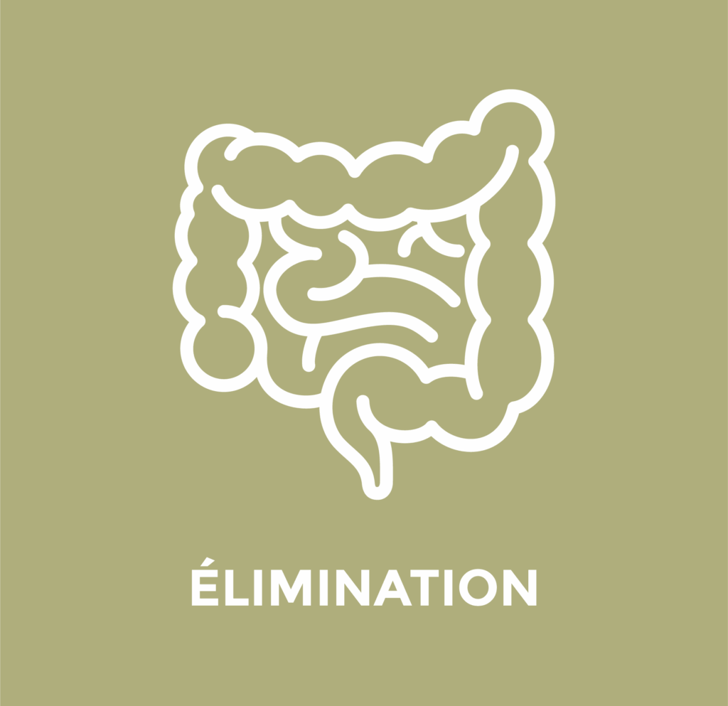 Programme Origine élimination