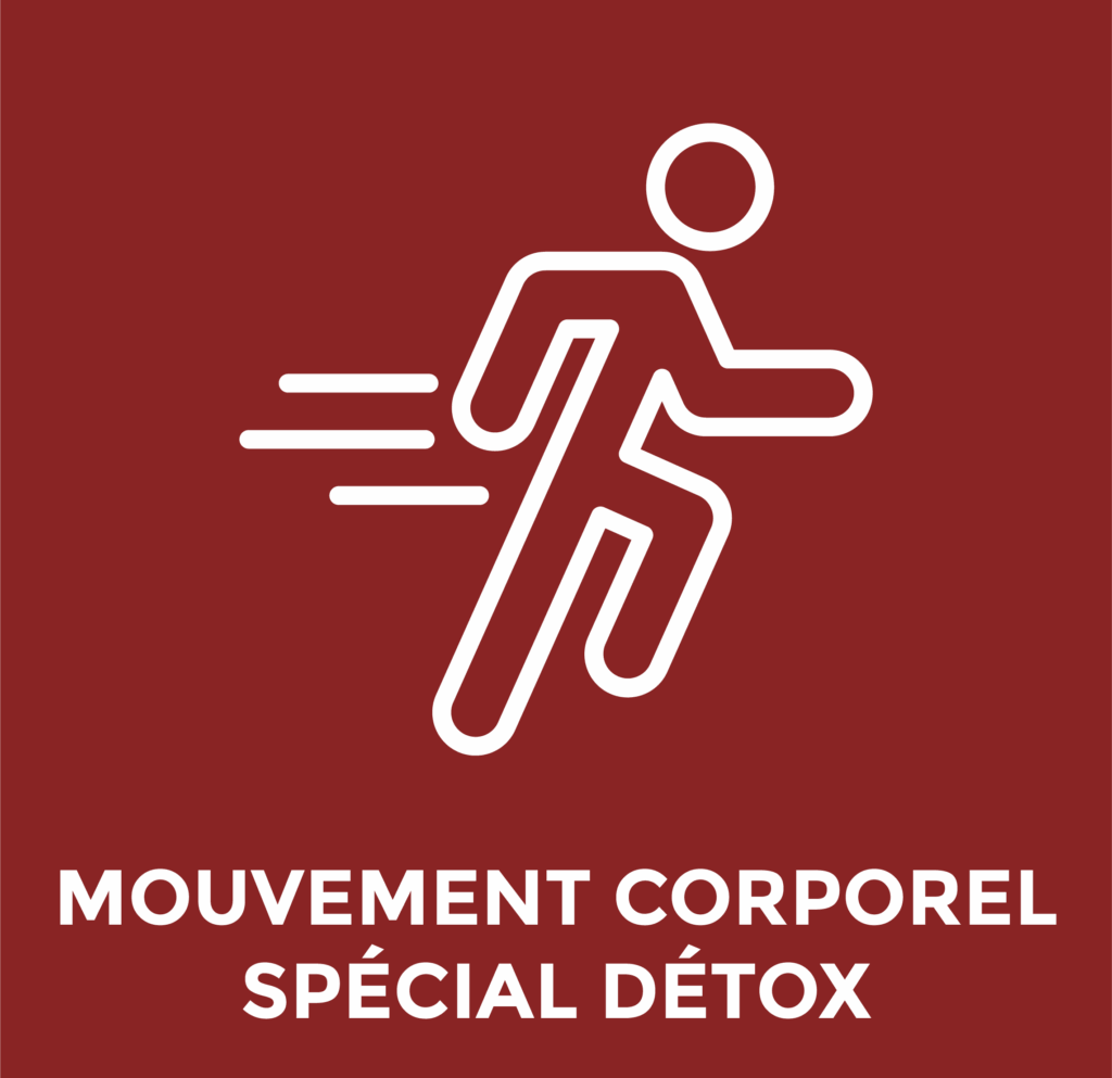 Programme Origine mouvement