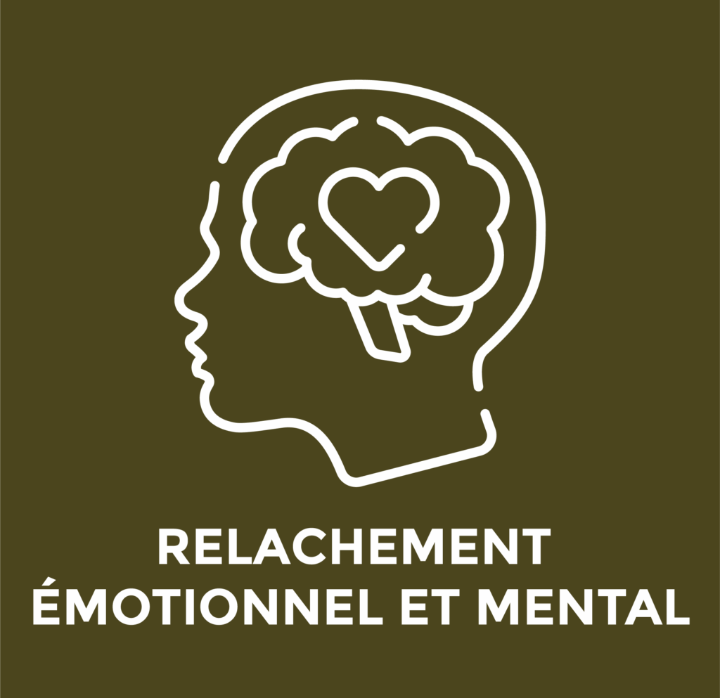 Programme Origine relachement